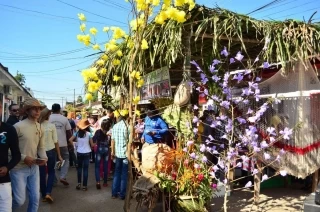 Arauca celebre este 25 de julio el día departamental del llanero.